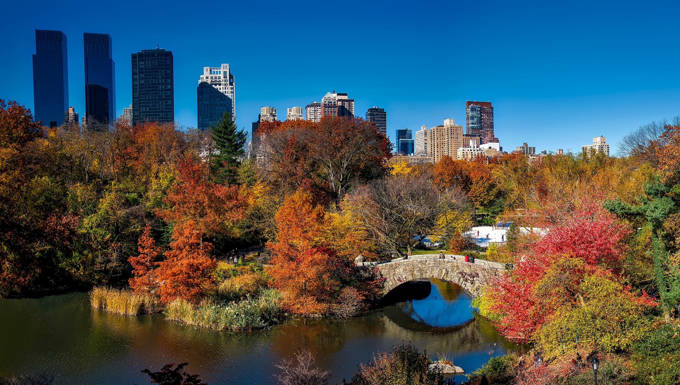 landscape-tree-water-skyline-leaf-fall-1026655-pxhere.com.jpg