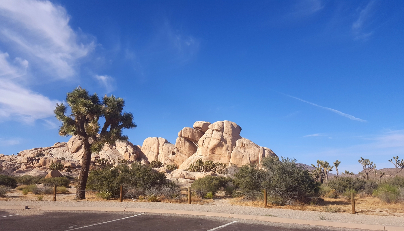 Joshua Tree NP Zájezd Route 66