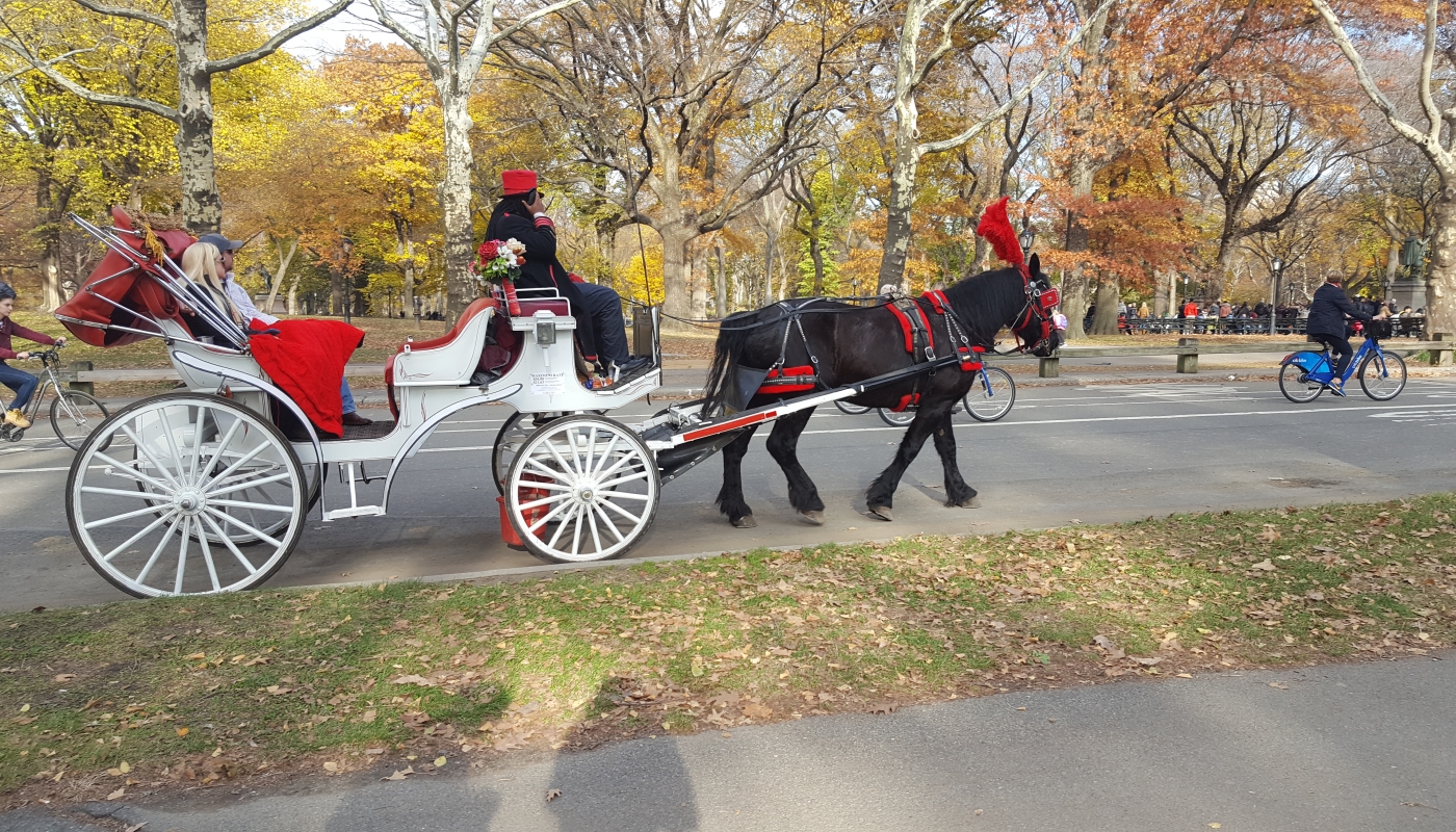 new york zájezdy